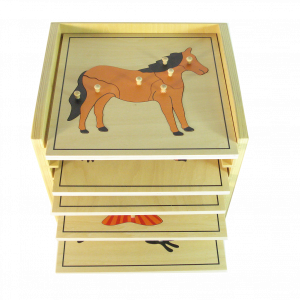 Kệ đựng và 05 Bộ ghép hình Con vật