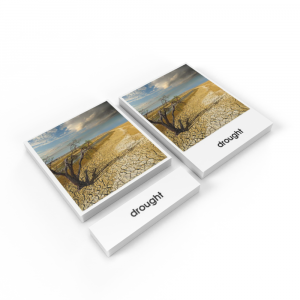 Bộ thẻ giáo cụ ba phần: Các loại Thời Tiết Drought