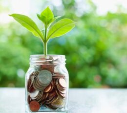 Chi phí mở trường mầm non Montessori